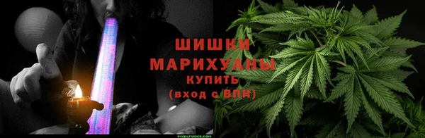 крисы Новозыбков