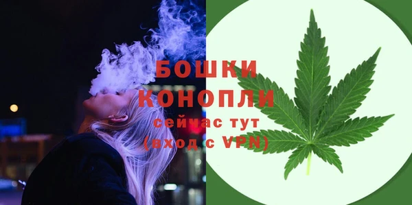 крисы Новозыбков