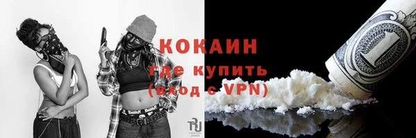 крисы Новозыбков