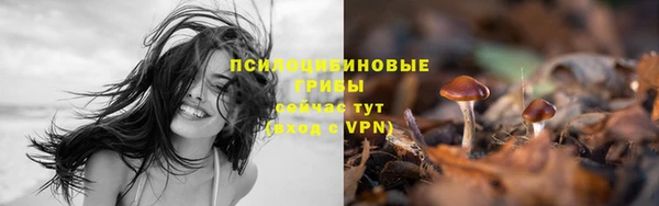 МДПВ Новодвинск