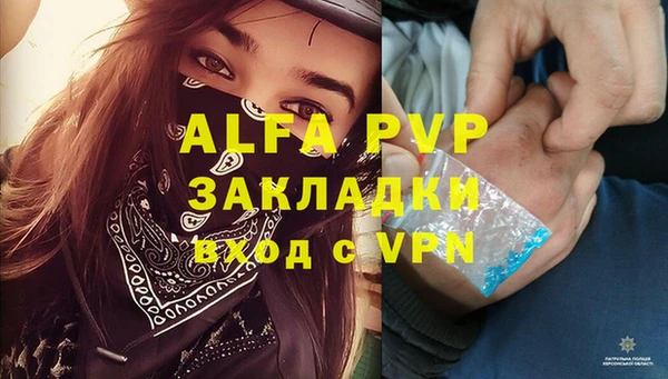 крисы Новозыбков