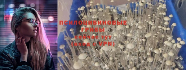 бошки Нефтекумск
