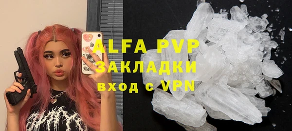 крисы Новозыбков