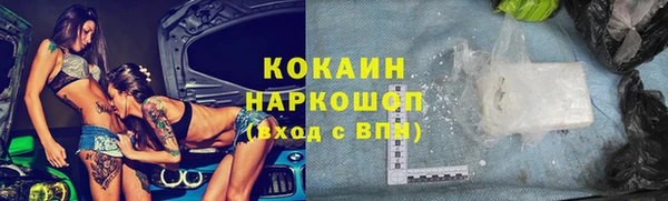 крисы Новозыбков