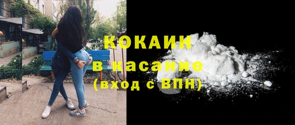 крисы Новозыбков