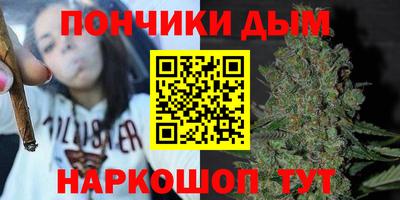 шишки Будённовск