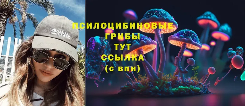 наркошоп  Мегион  Псилоцибиновые грибы Magic Shrooms 