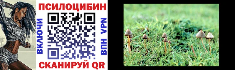 Галлюциногенные грибы Psilocybe  Мегион 