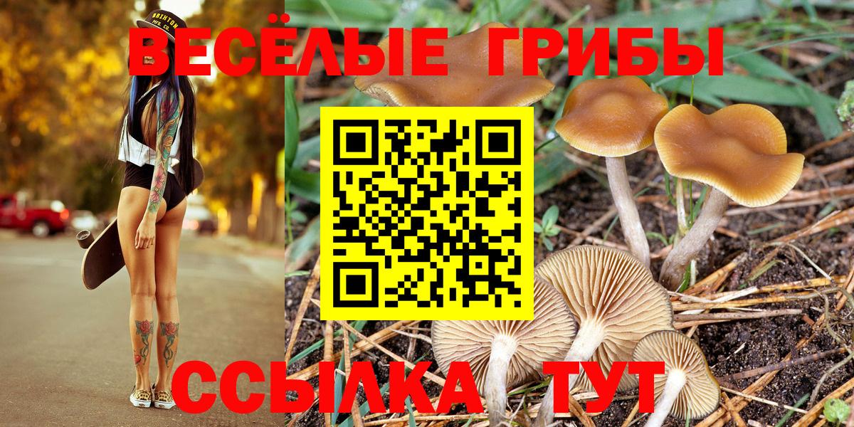 Псилоцибиновые грибы мицелий Мегион