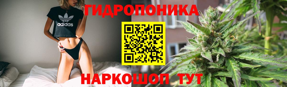 Мегион  Каннабис планчик  Каннабис конопля  Вход с VPN  Каннабис OG Kush  Марихуана индика 