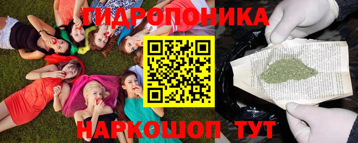 Канабис OG Kush  Бошки марихуана план  Конопля SATIVA & INDICA  Мегион 